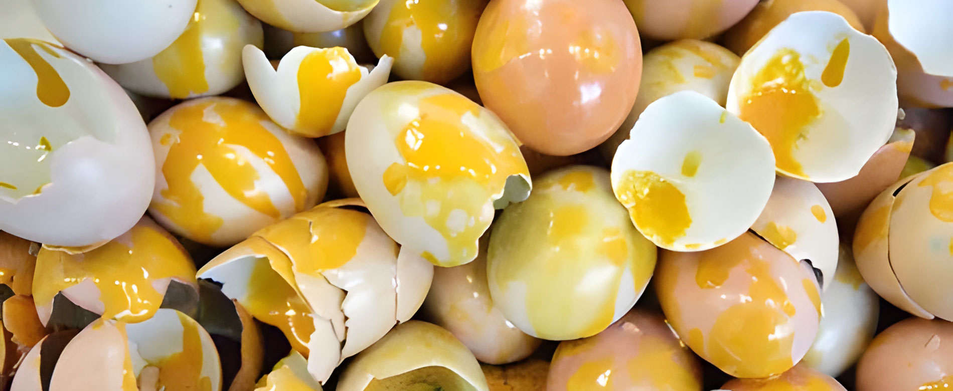 Rotten Egg Water Smell Odor Solution in South Jersey